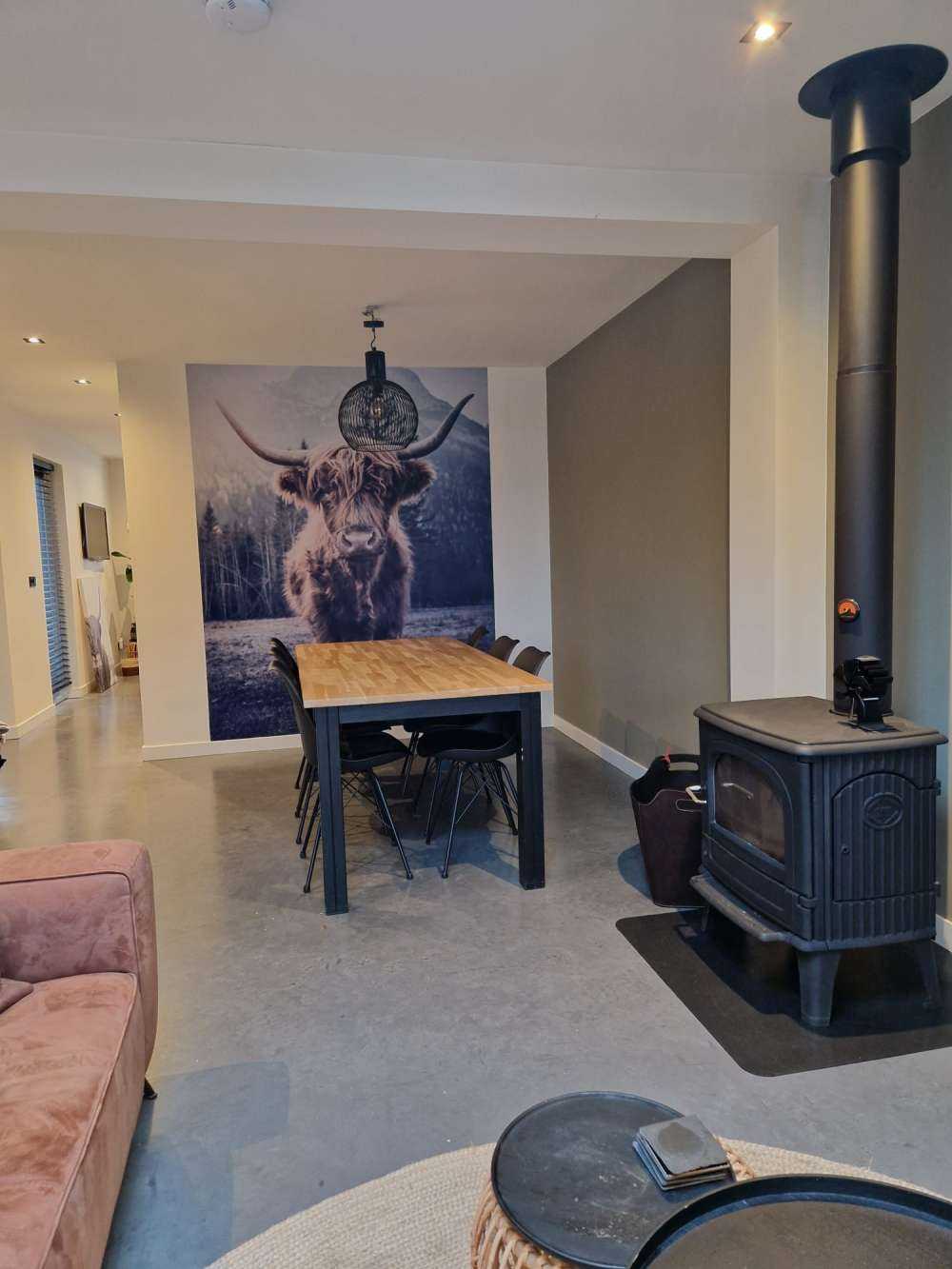 Skotsk hoglandare vid skogen