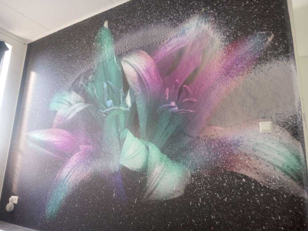 Neonblommor