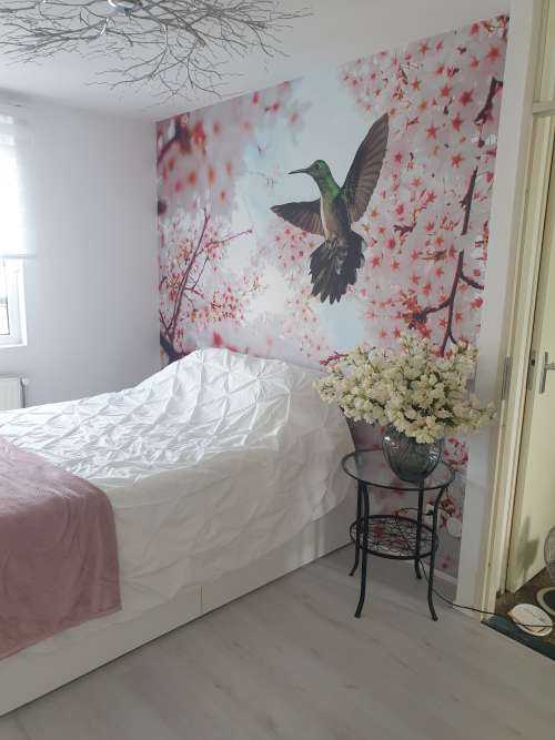 Kolibri mellan blommorna