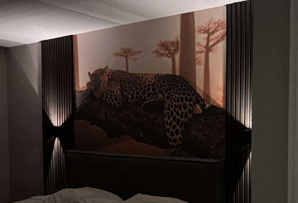 Sovende leopard