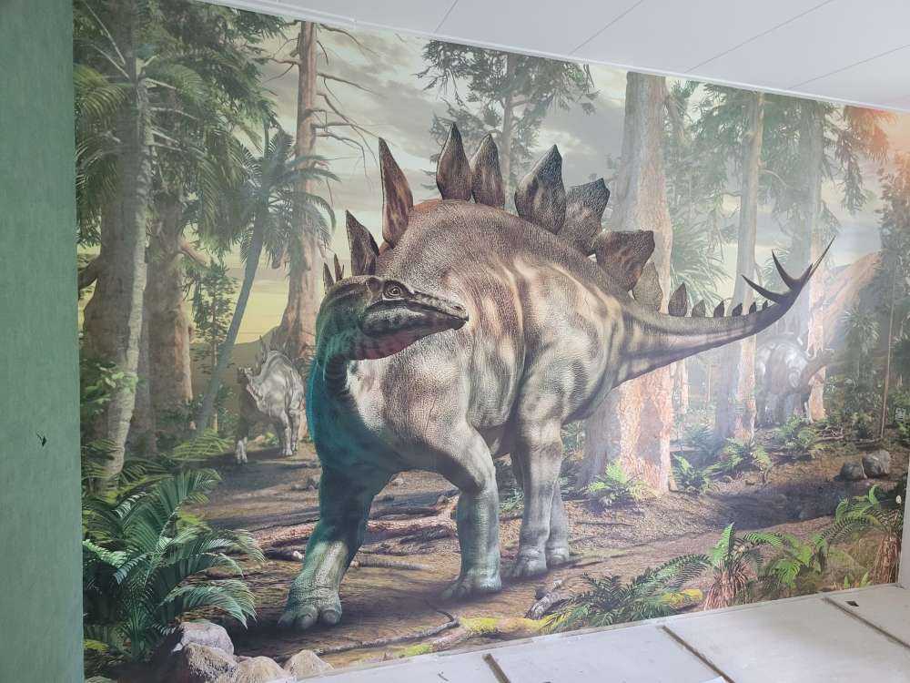 Stegosaurus-familien