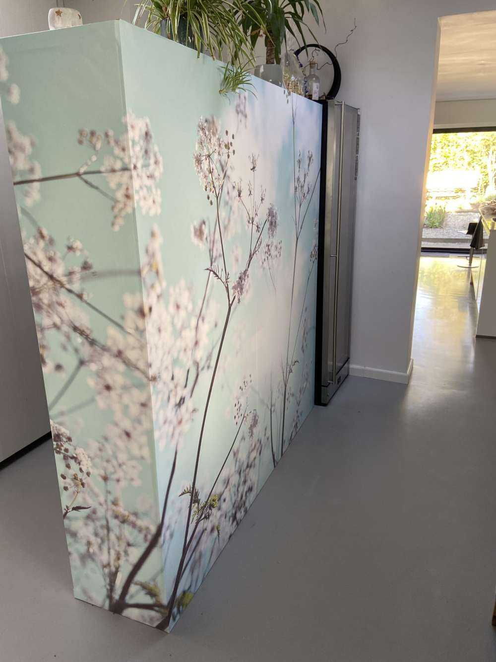 Mandelblomst i solen