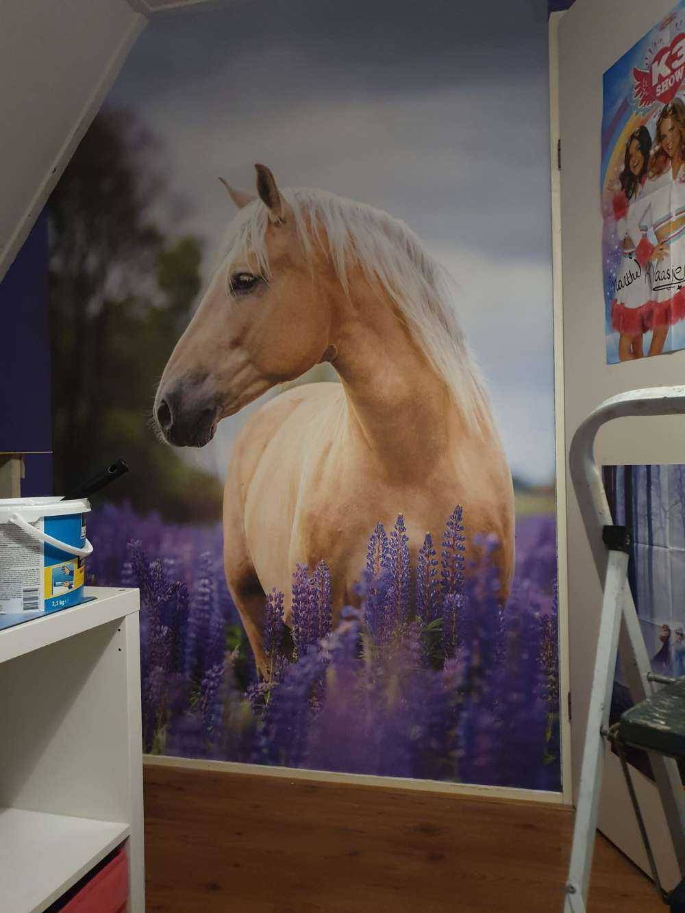 Hest blant sommerfuglblomstene