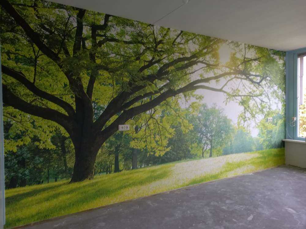 vakret tre med grønt gress