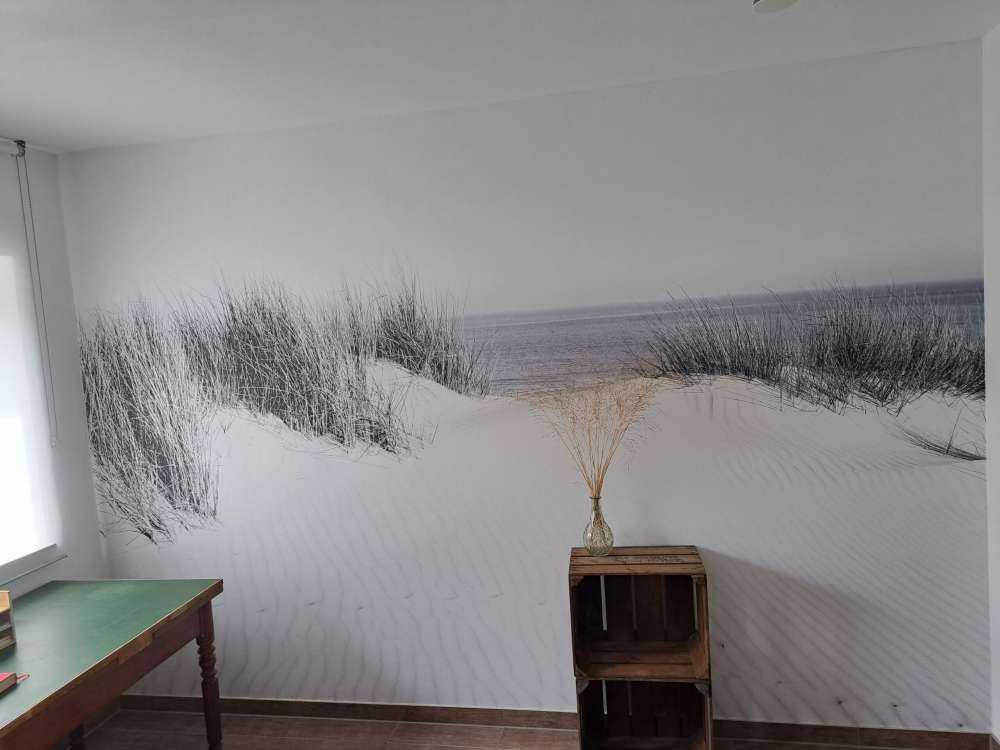 Dunepassasje til stranden svart og hvitt