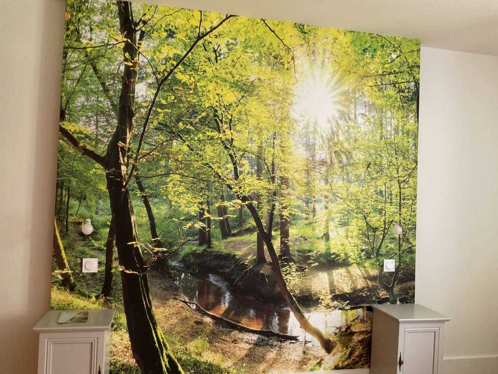 Skog med bekk