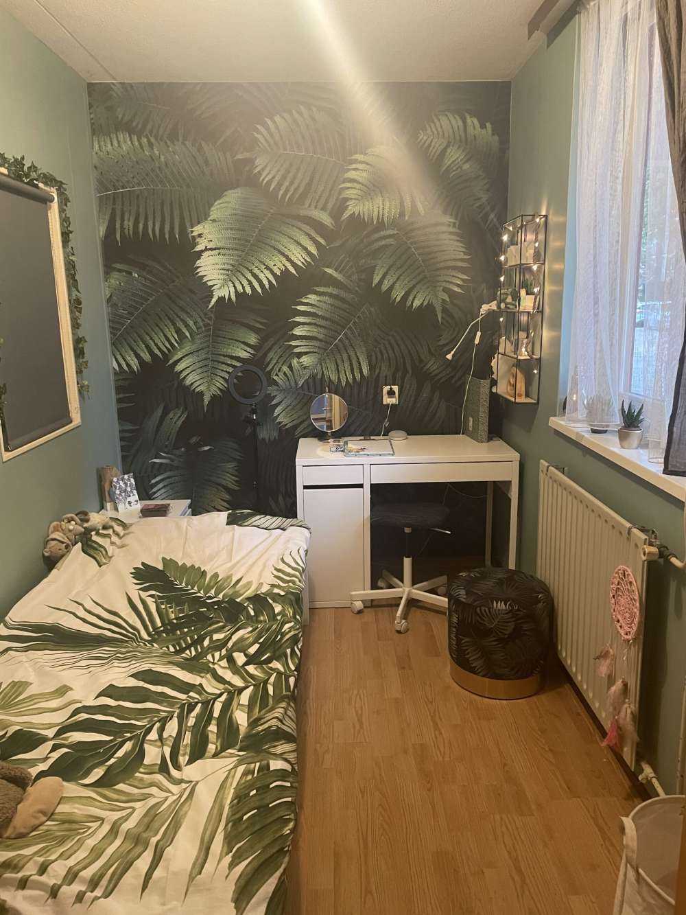 Stora palmblad