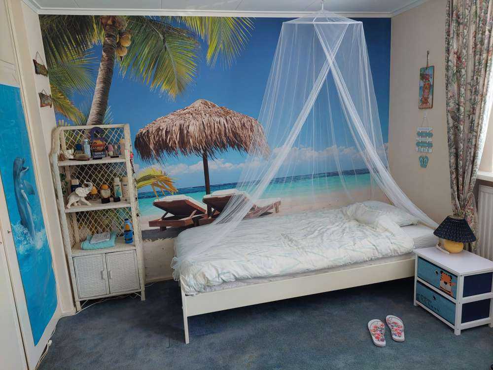 Stolar och parasoll på den tropiska skogen