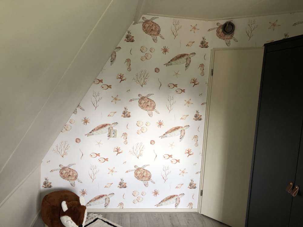 Snäckor och havsdjur