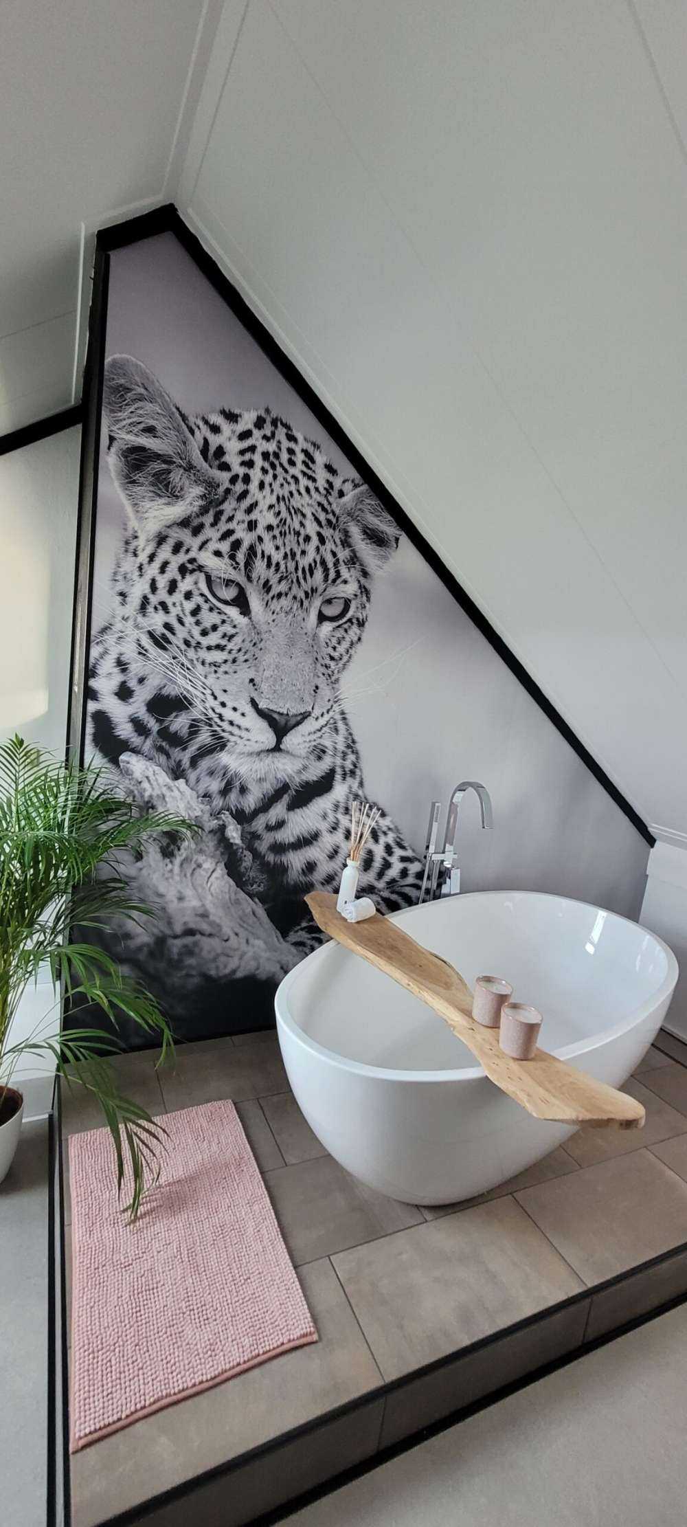 Leopard sort, hvid