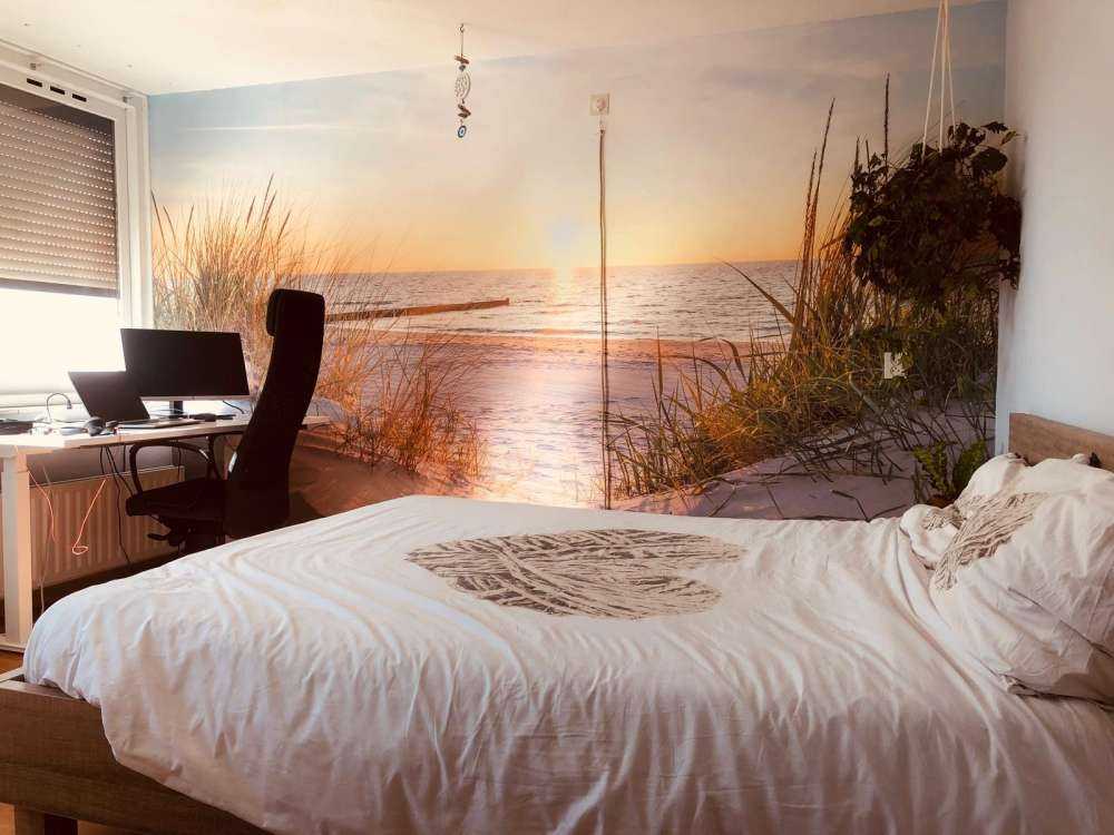 Klitstrand med solnedgang