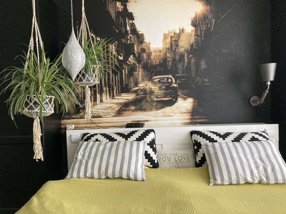 Mystic formiddag i Havana