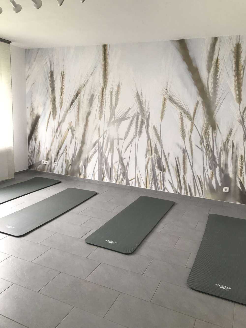 Solstråler gennem kornet