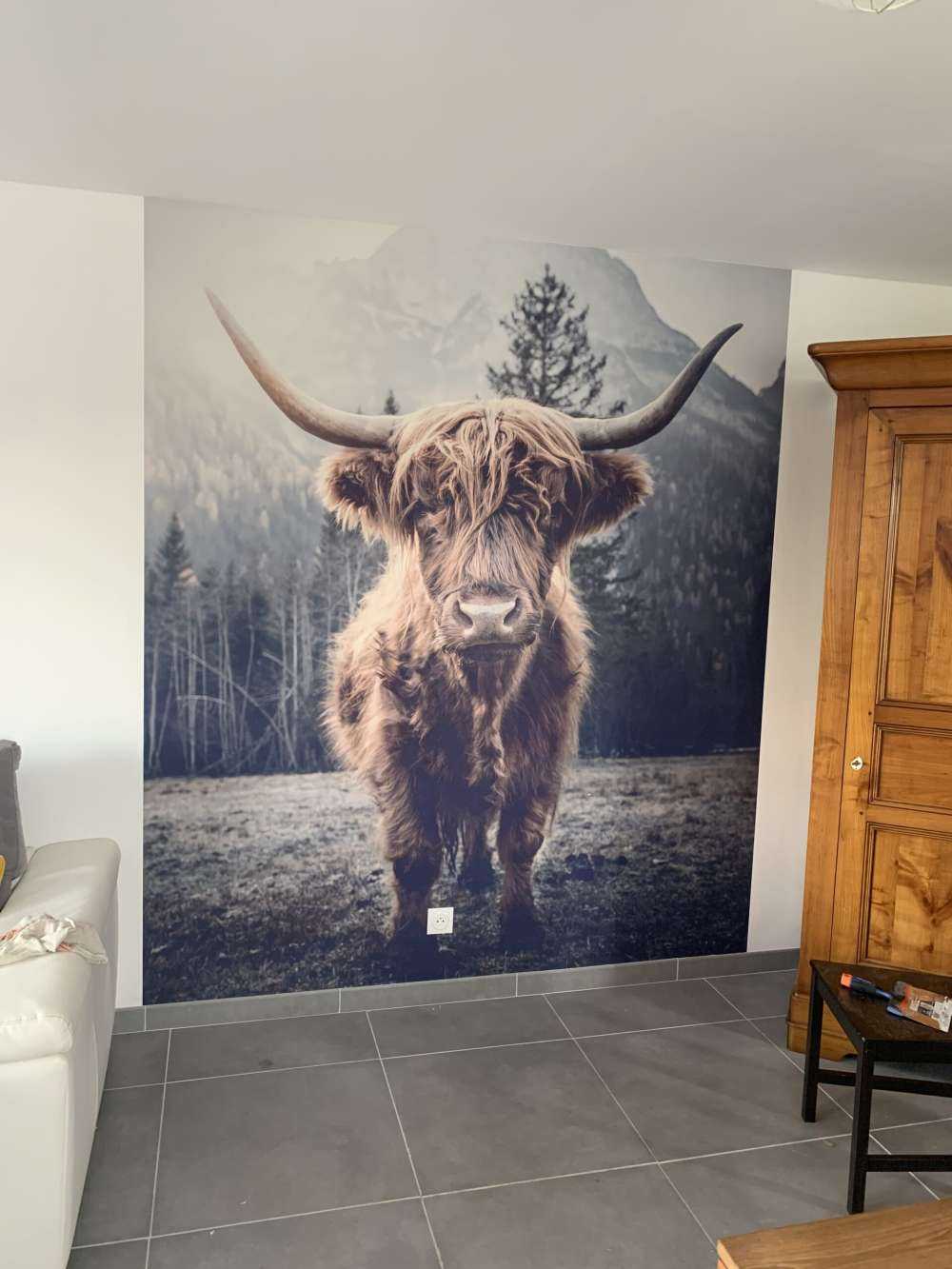 Scottish højlander ved skoven