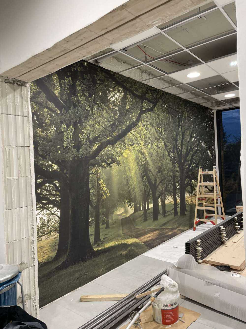 Sti mellem egetræer