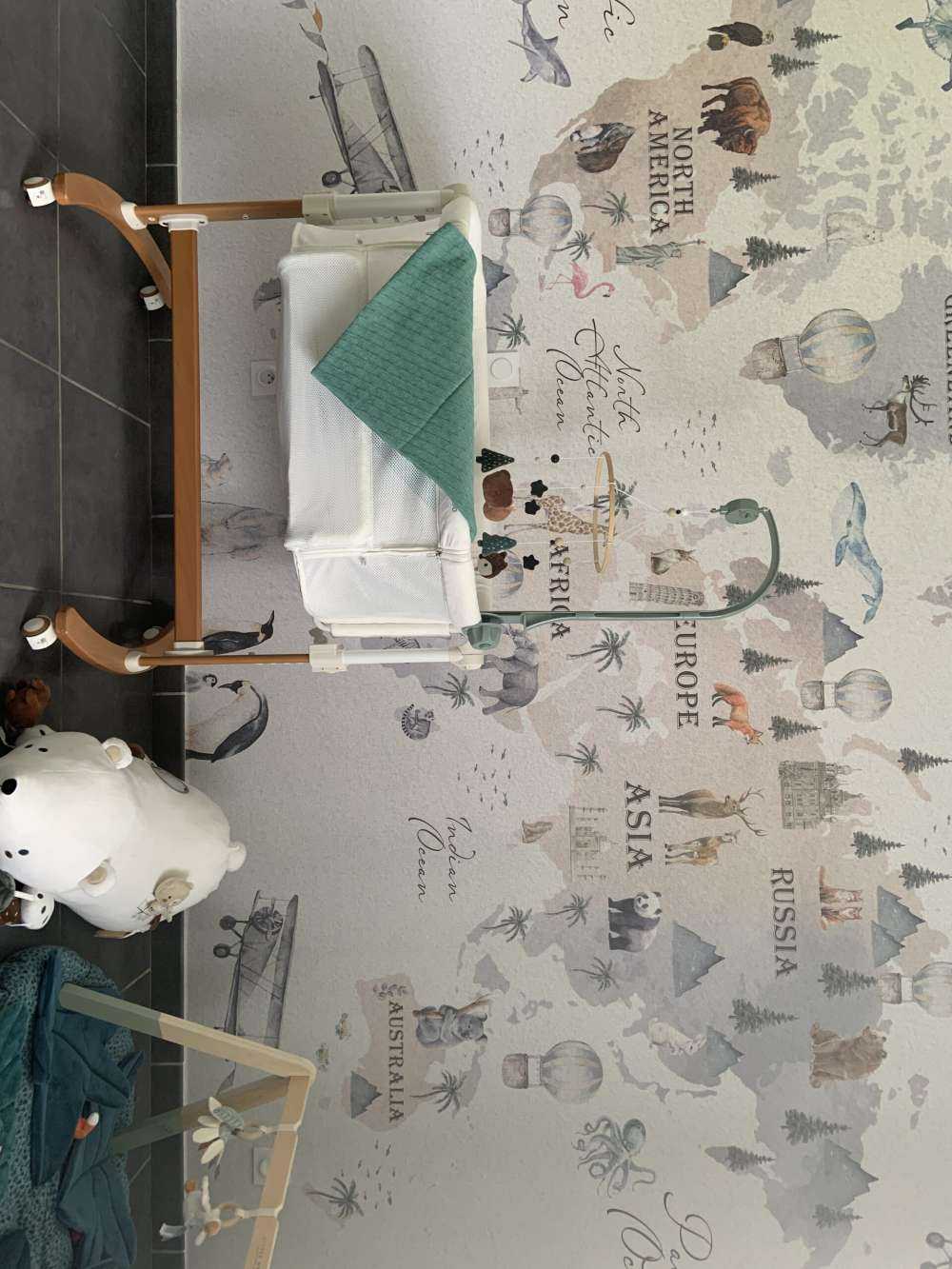 Världskarta med olika djur