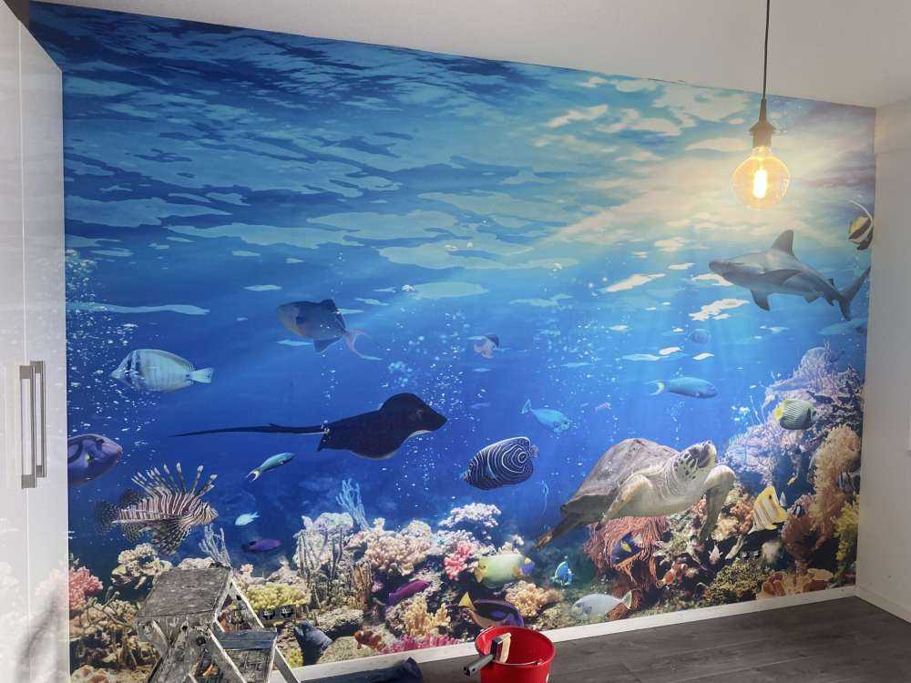 Exotisk fisk
