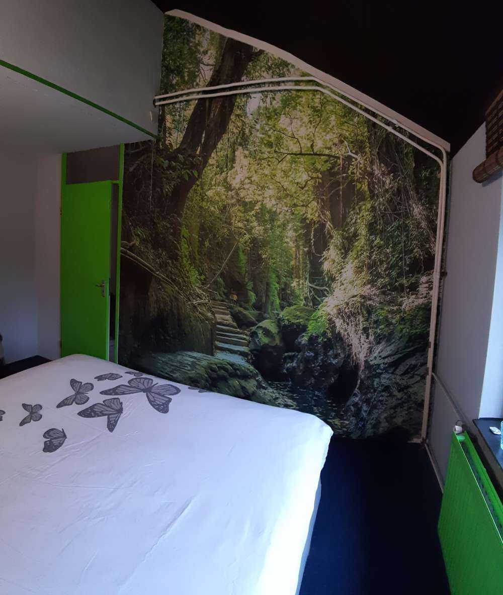 Sti gjennom jungelen