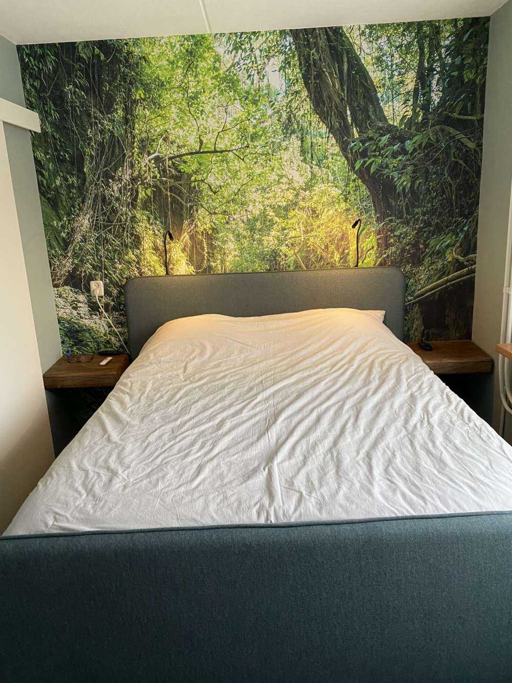 Sti gjennom jungelen