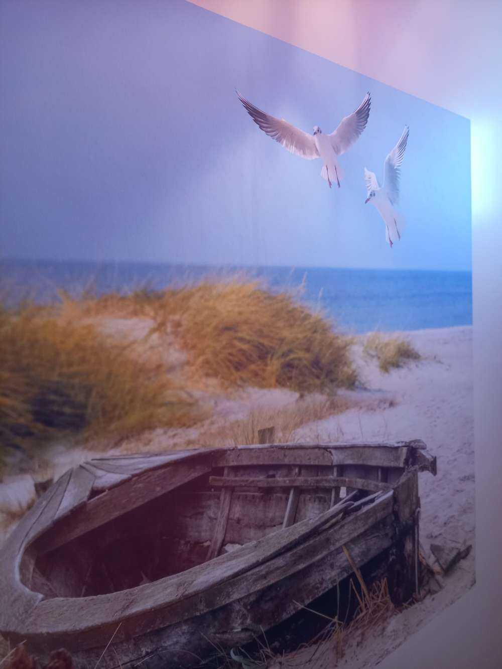Gammel fiskebåt, måker, strand og sjø