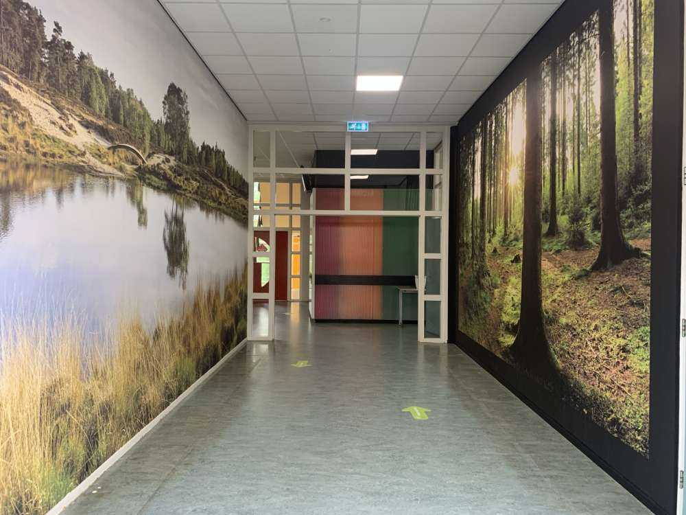 En liten skogsjø i lyngområdet