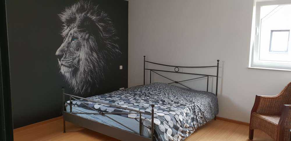 Løve med blå øjne