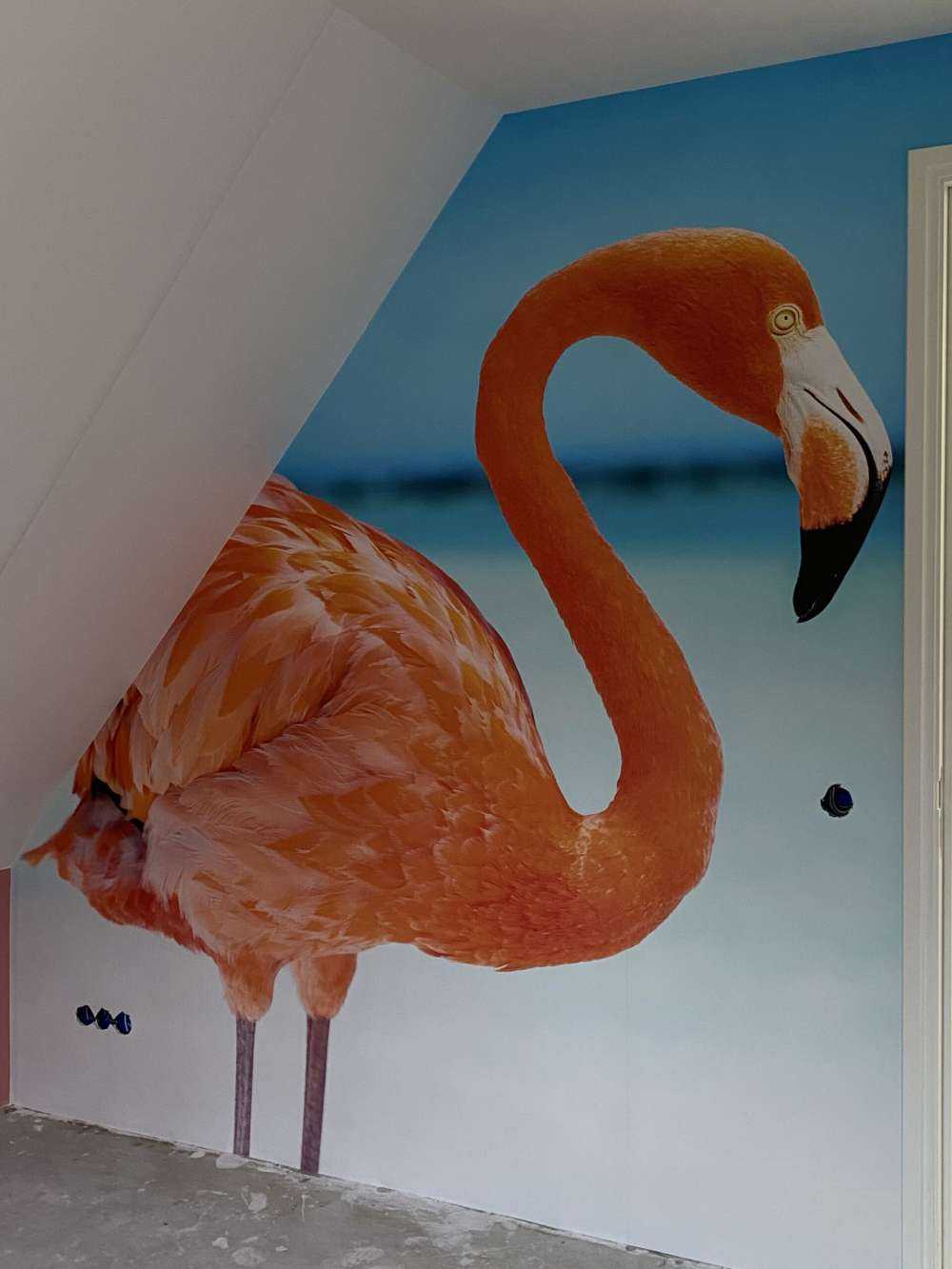 Tropisk flamingo