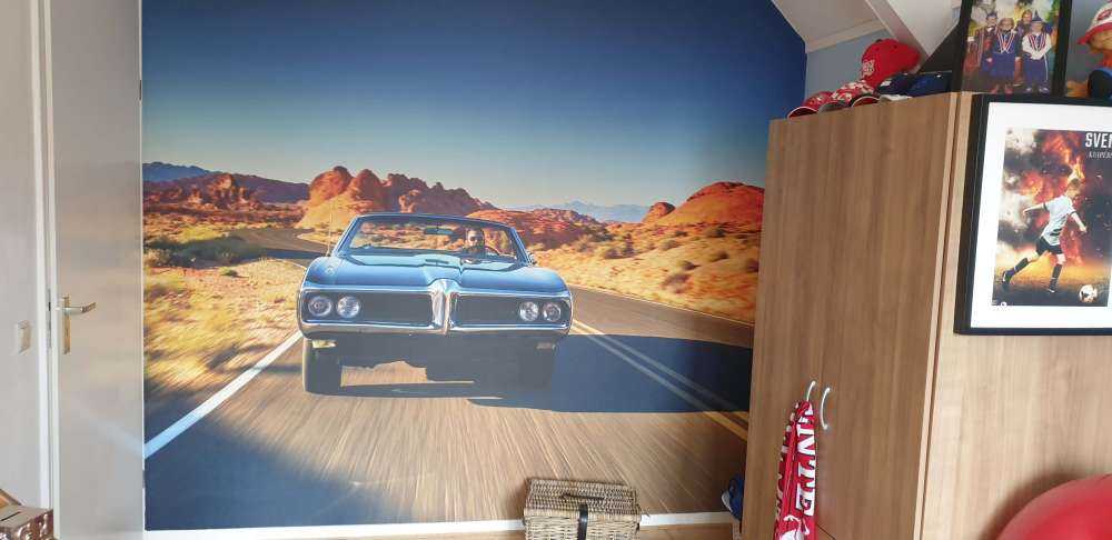 Muskelbil i et amerikansk landskapp