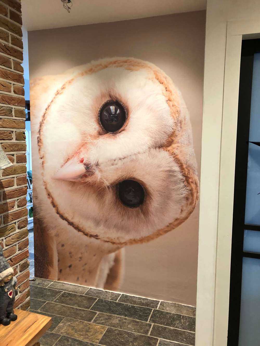 Ugle med hovedet på skrå