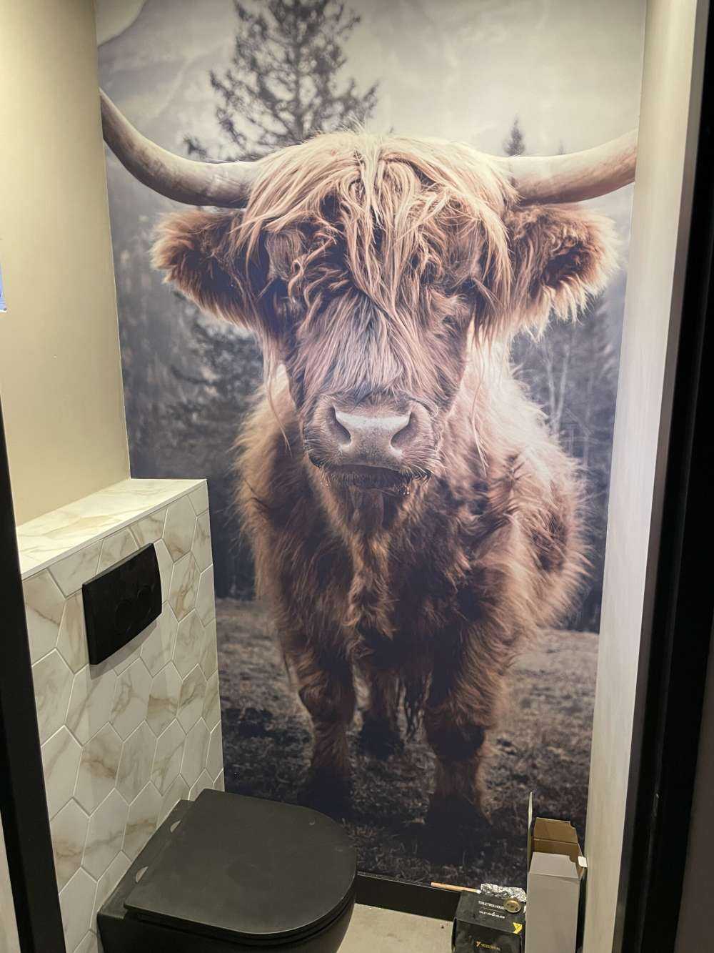 Scottish højlander ved skoven