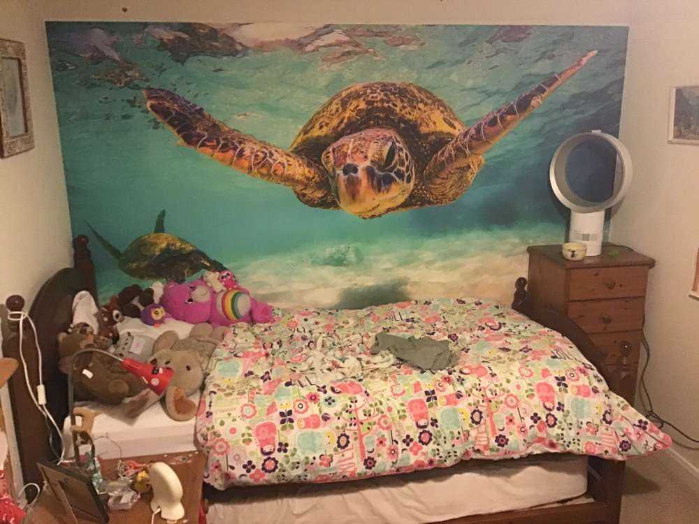 Havskildpadde i havet