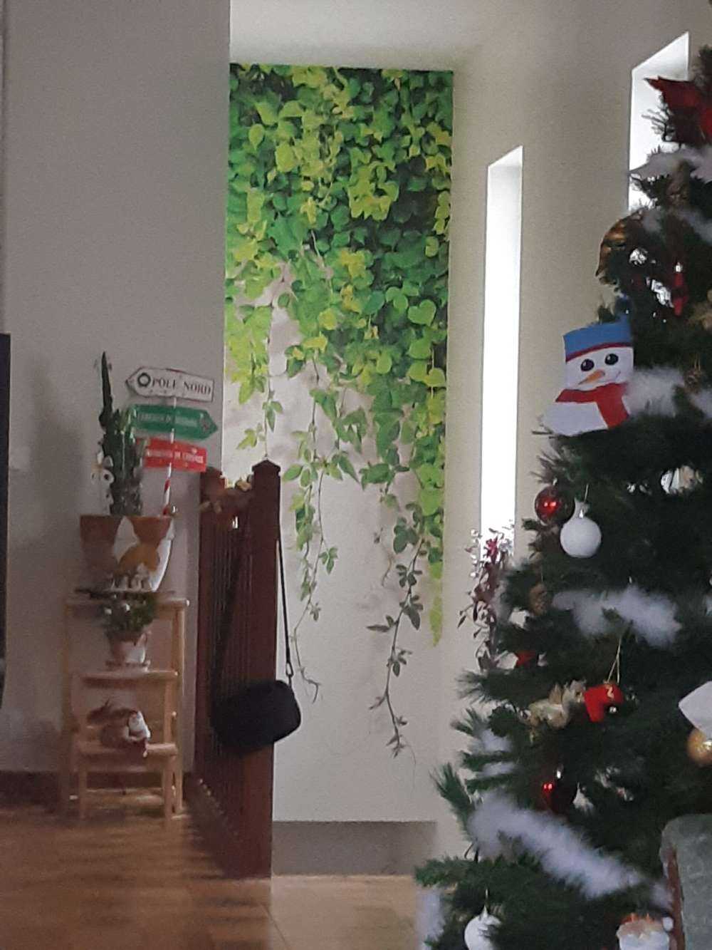 Grønne hængende grene