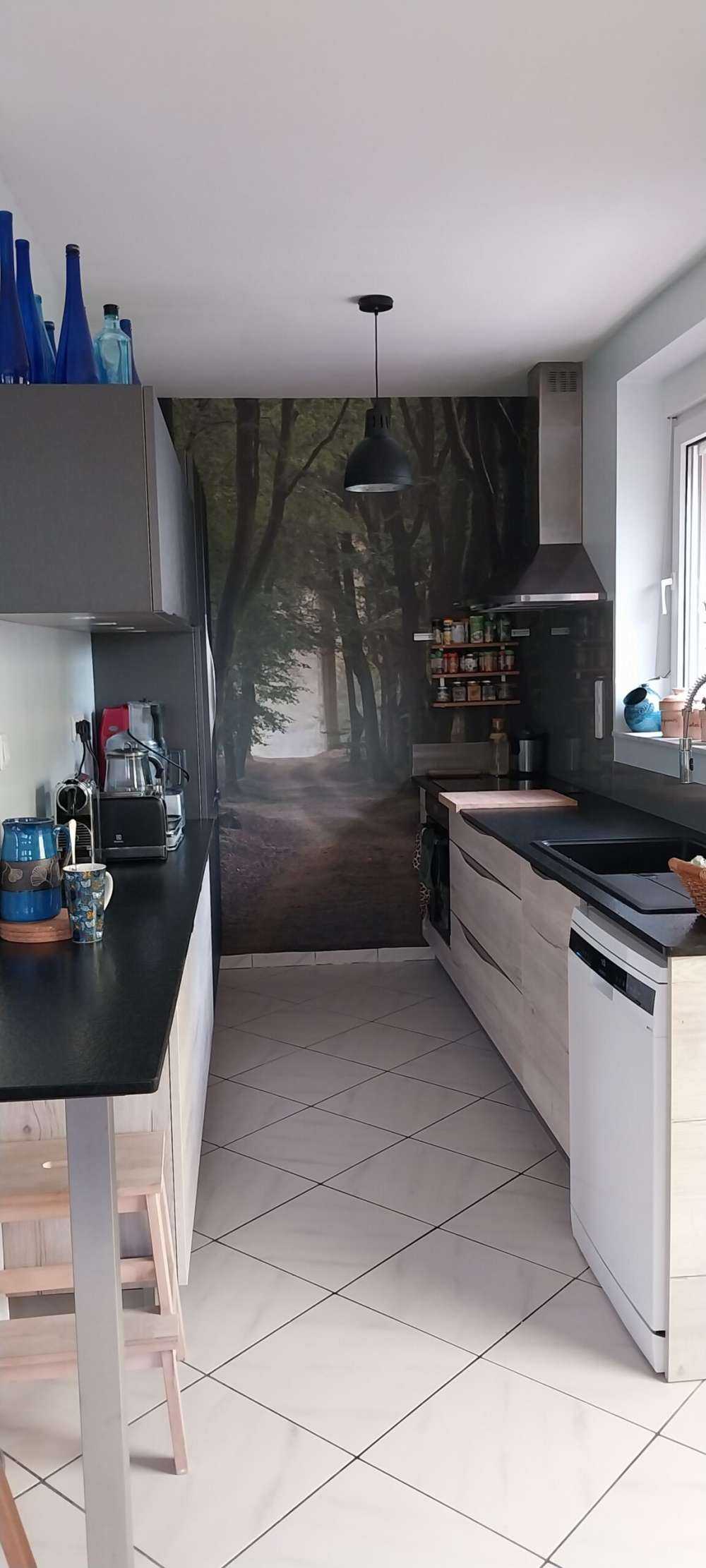 sandstig i skogen