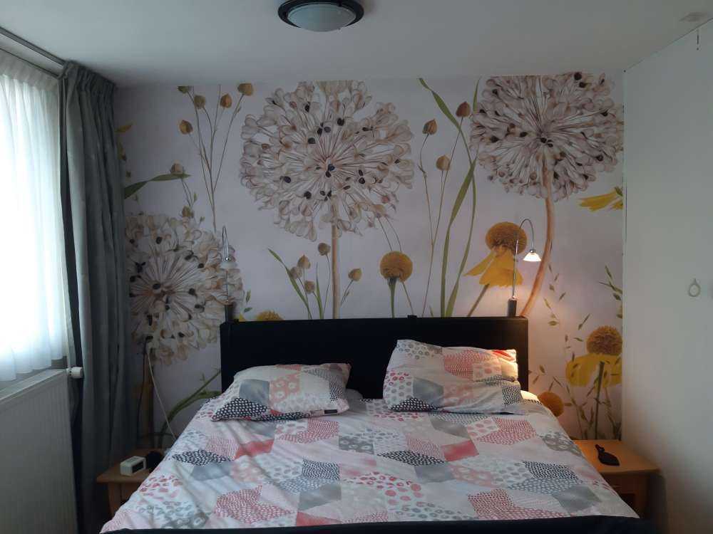 Alliums and heleniums