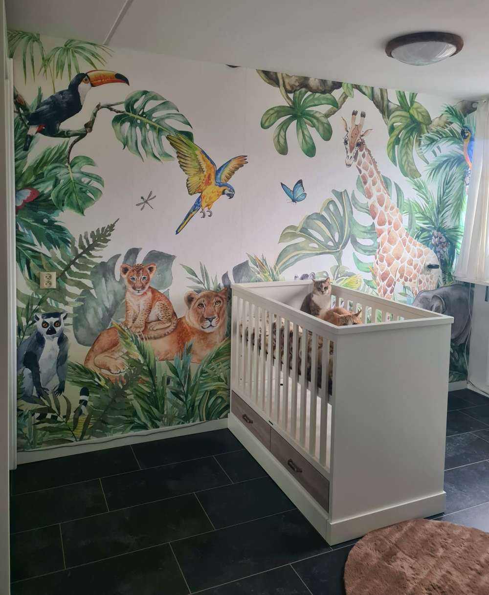 Vilda djuren i djungeln