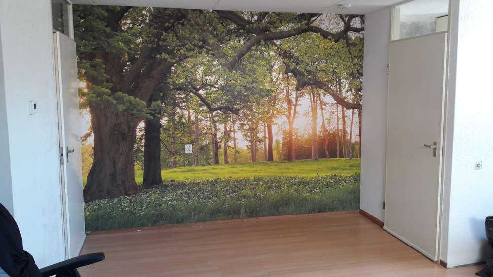 Åpen plass i skogen