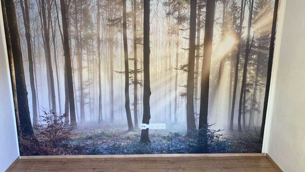 Den tåke skogen
