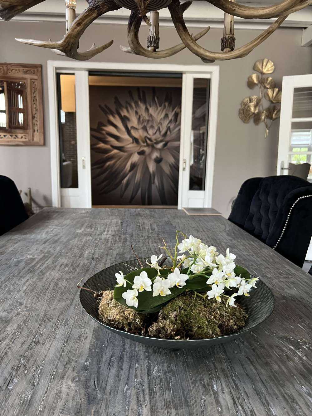 Dahlia blomst svart og hvit