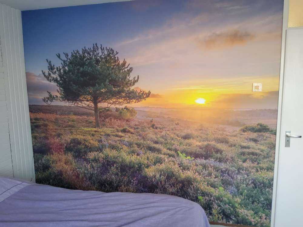 Solnedgang på myren