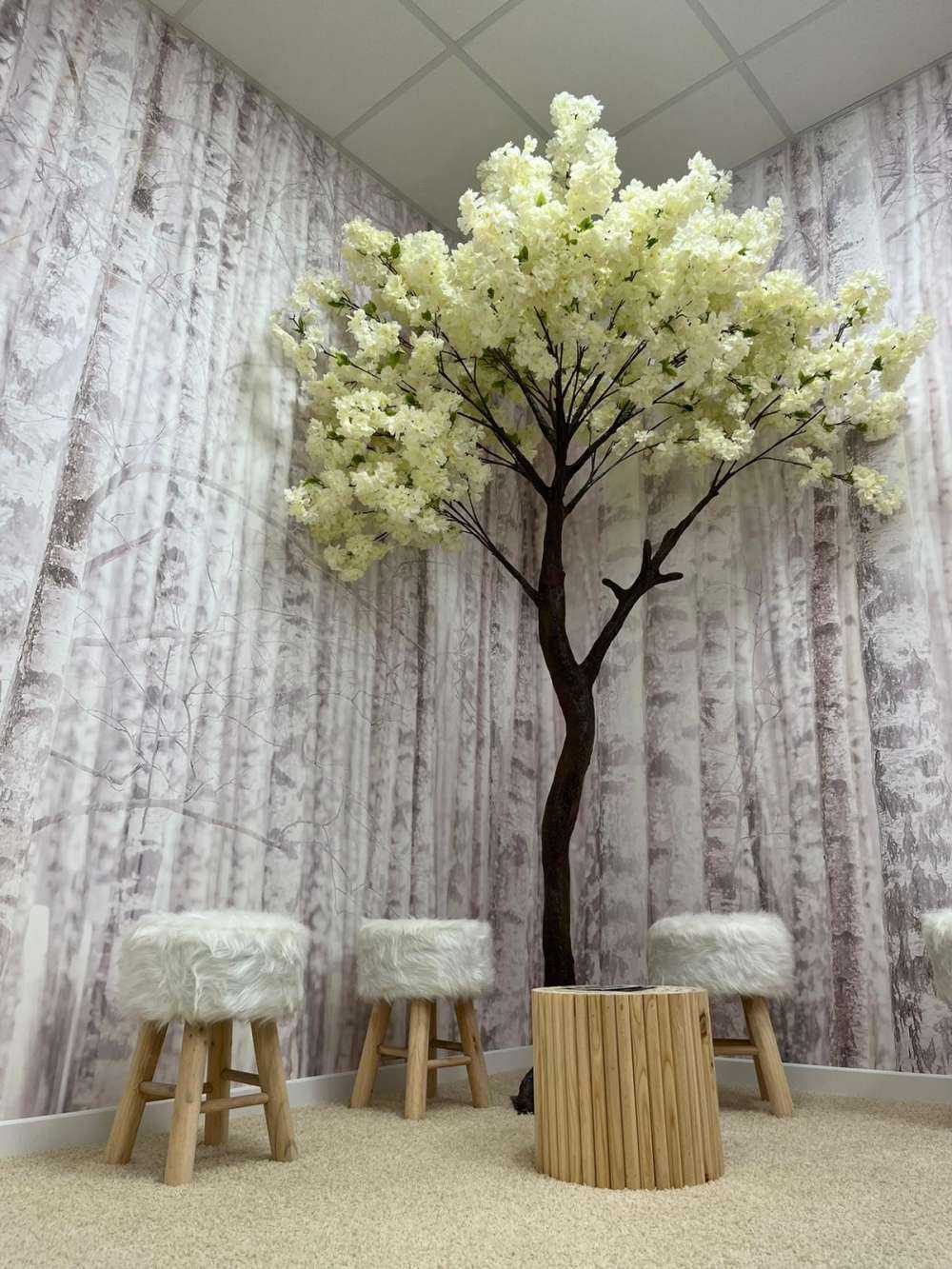 Trees