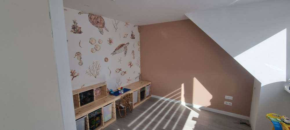 Snäckor och havsdjur