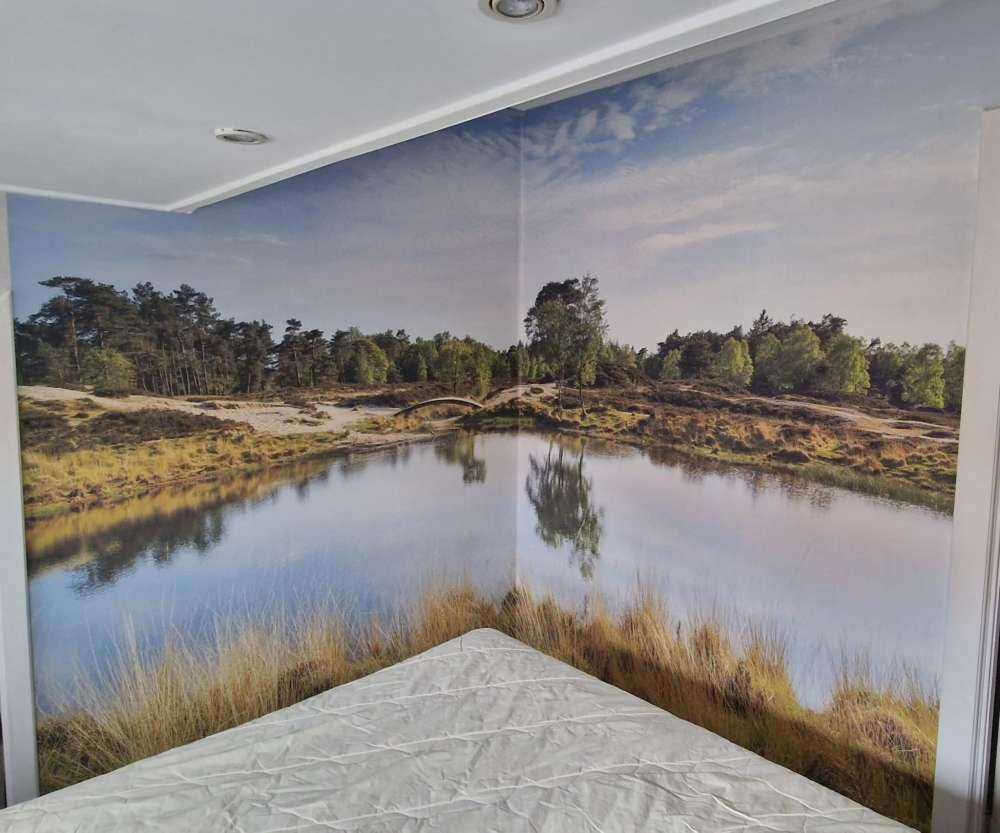 En lille skovsø i lyngområdet