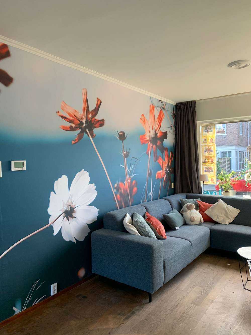 Kosmos blomster i marken