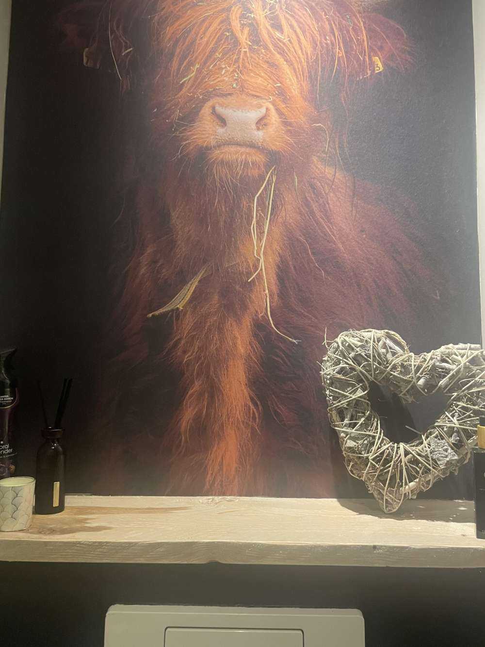 Portræt skotsk højlander