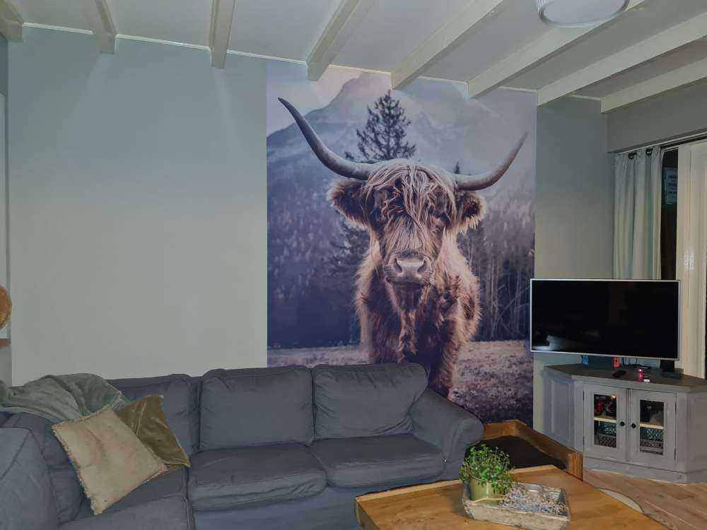 Scottish højlander ved skoven