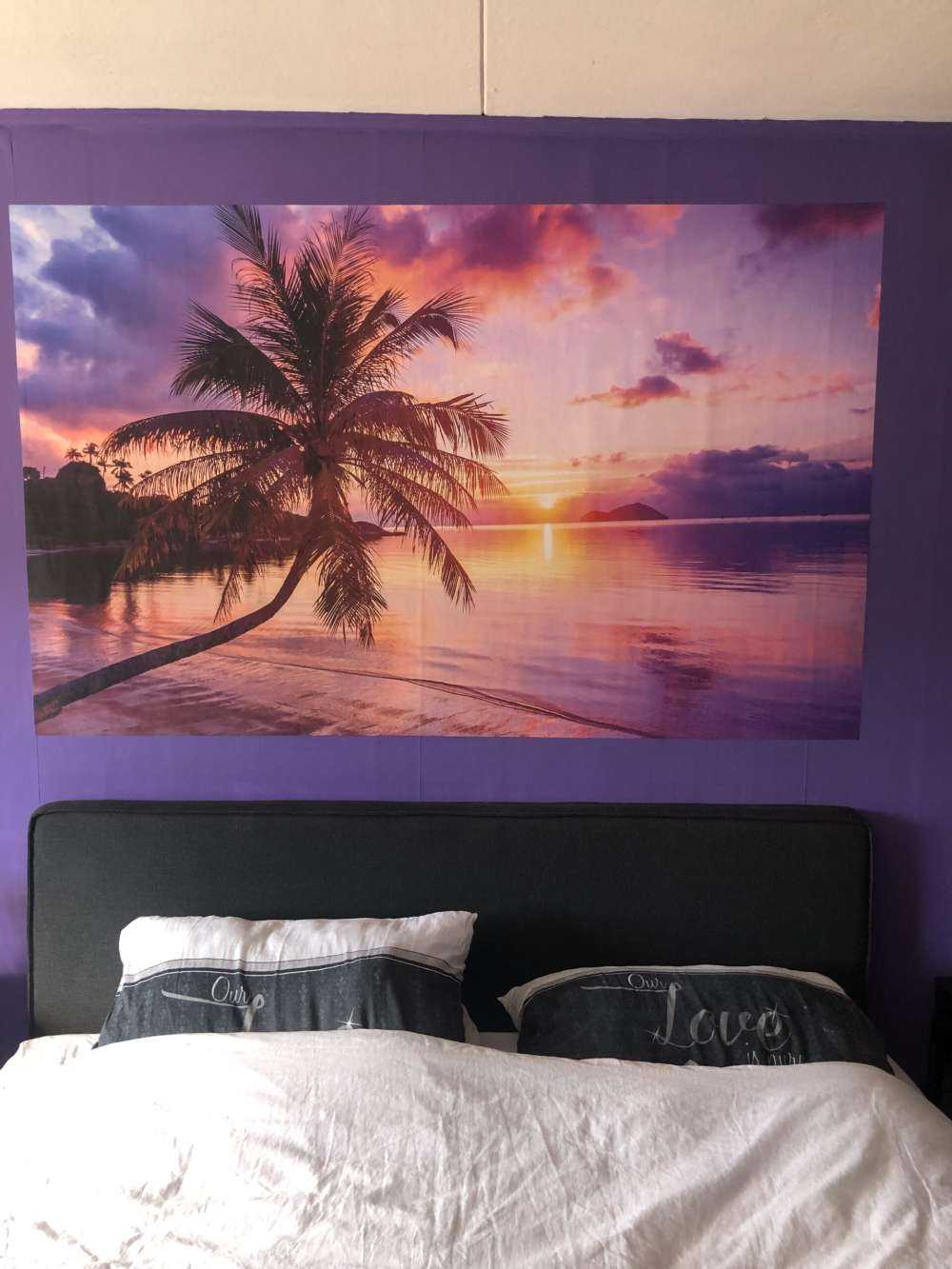 Palmetræ ved solnedgang