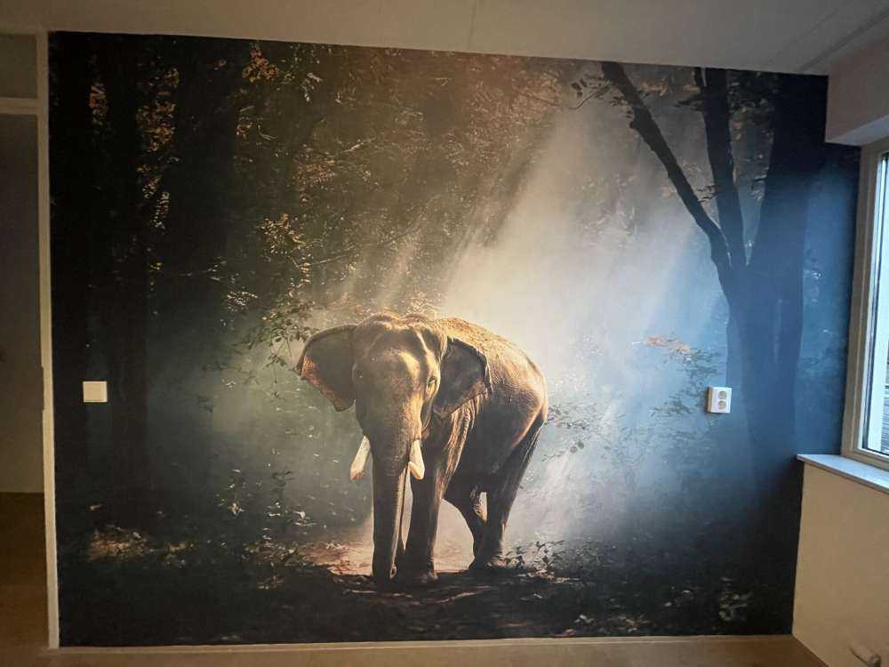 Elefant i en jungle