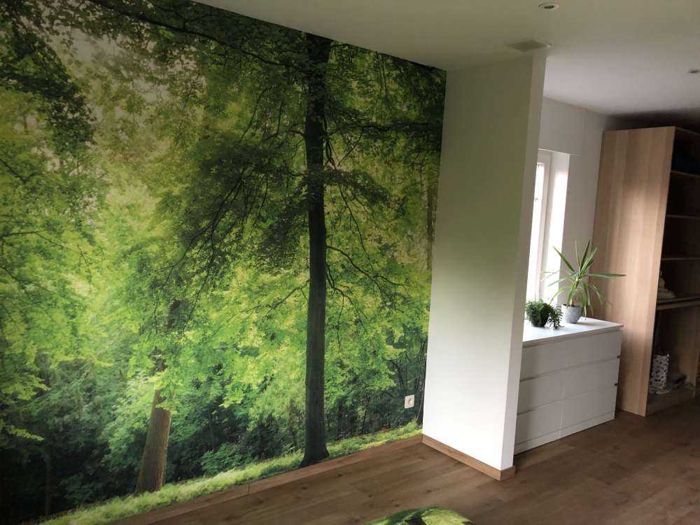 Skog med lätt dimma