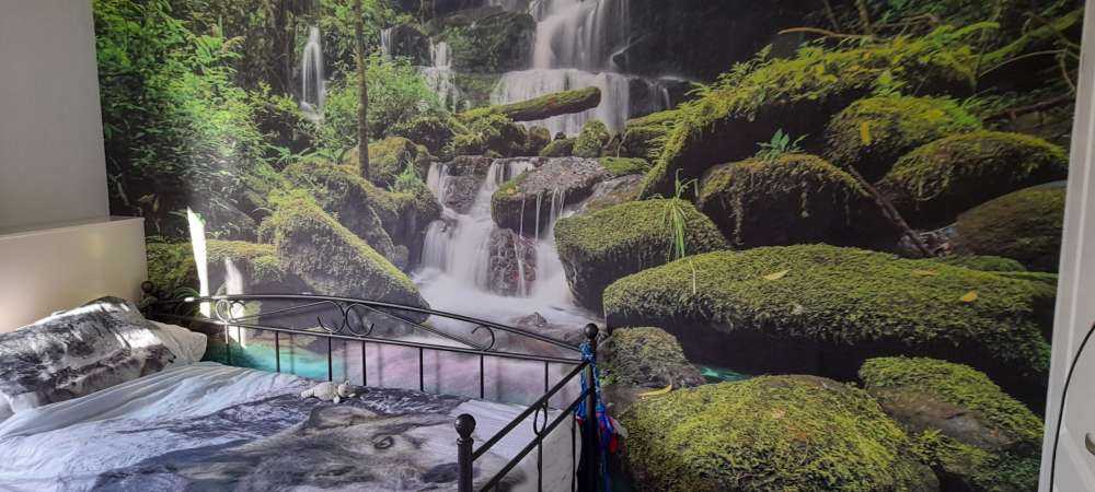 Vattenfall i en djungel