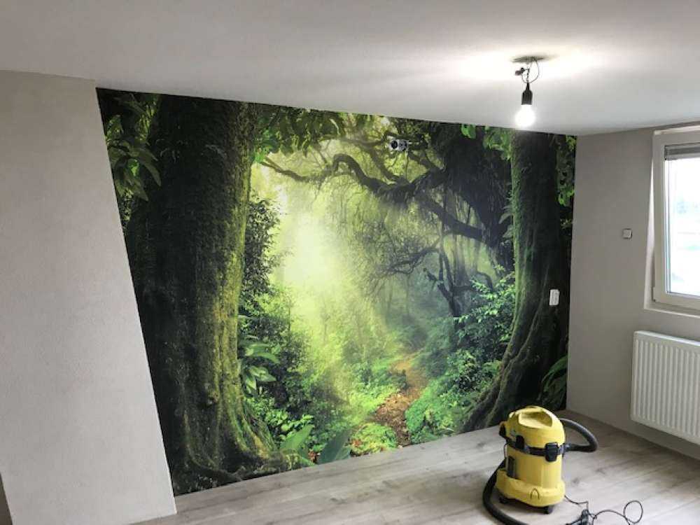 Djungel med solstrålar